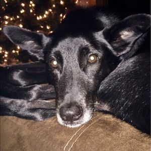 Meet your Posher, Bbobbie